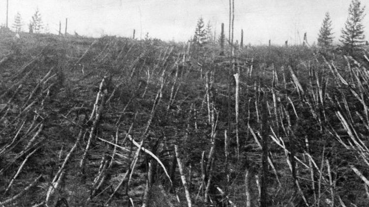 No caso de Tunguska, na Rússia, as árvores apontaram a dimensão da explosão do corpo celeste - Getty Images - Getty Images