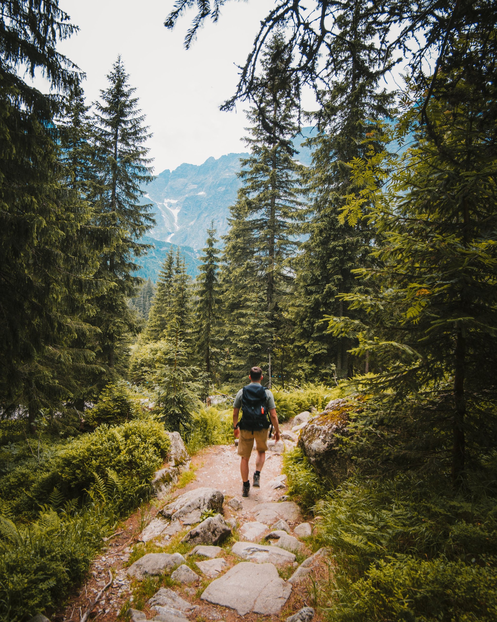 Foto: Josh Hild /Unsplash