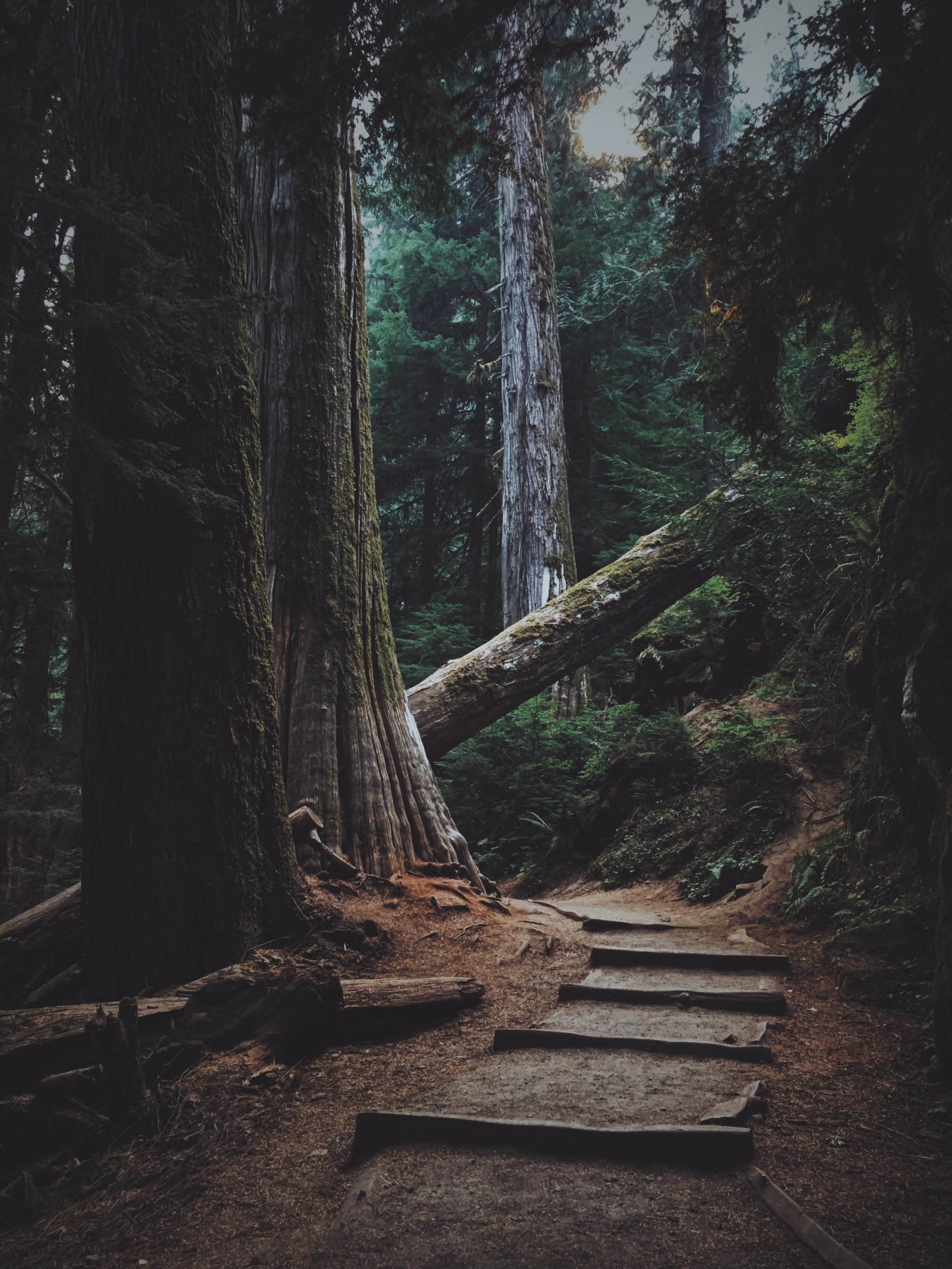 Foto: Jeff Finley /Unsplash